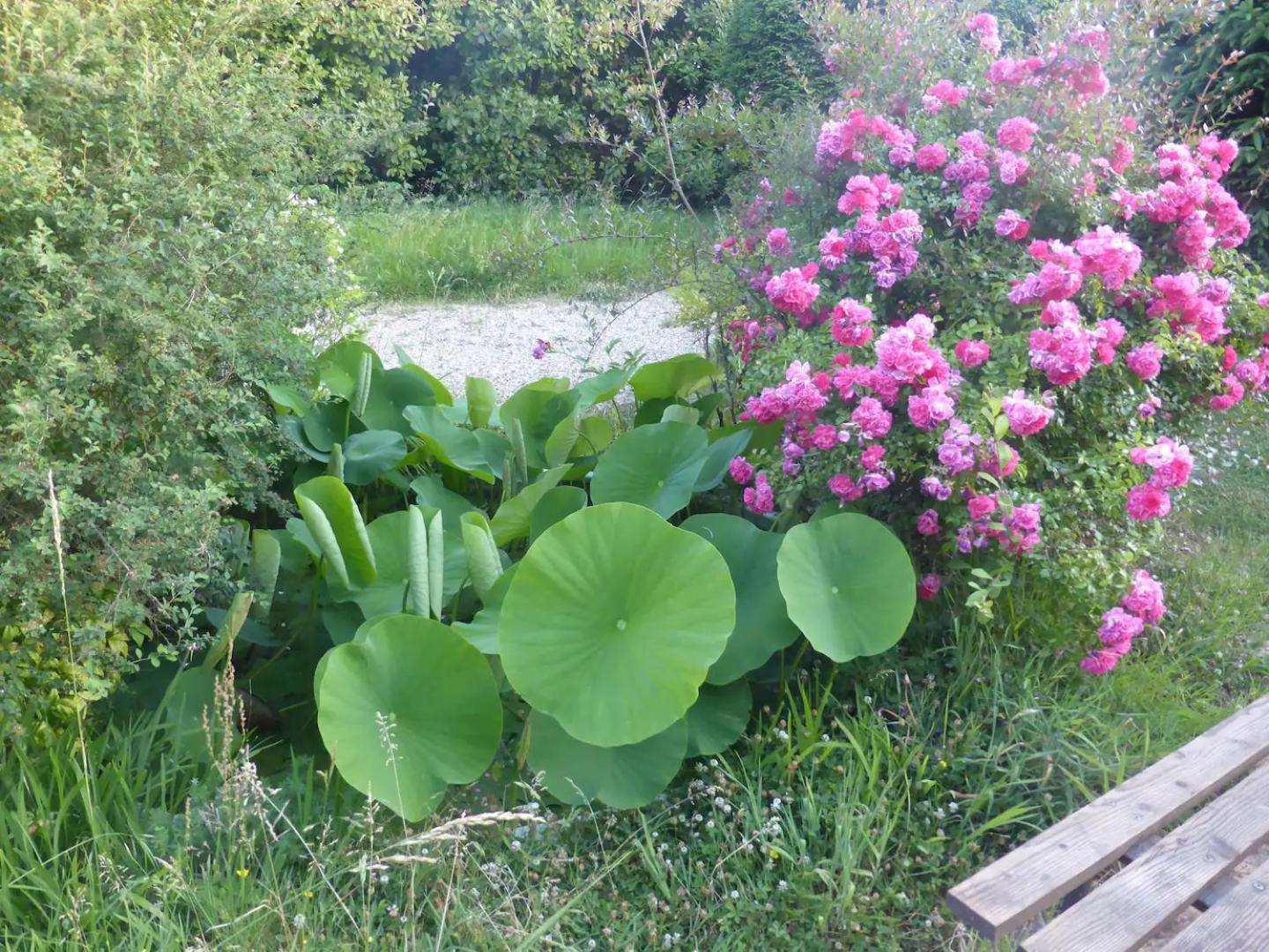 La Maison De L'Ecolieu Du Turc - Piscine Partagee Le Mas-d'Agenais Екстер'єр фото